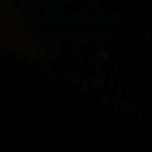 Meet your Posher, Nathaniel